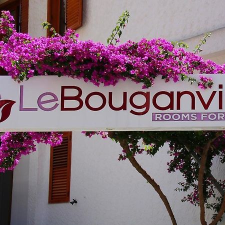 Le Bouganville Vieste Exterior photo